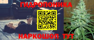 шишки Чебоксары