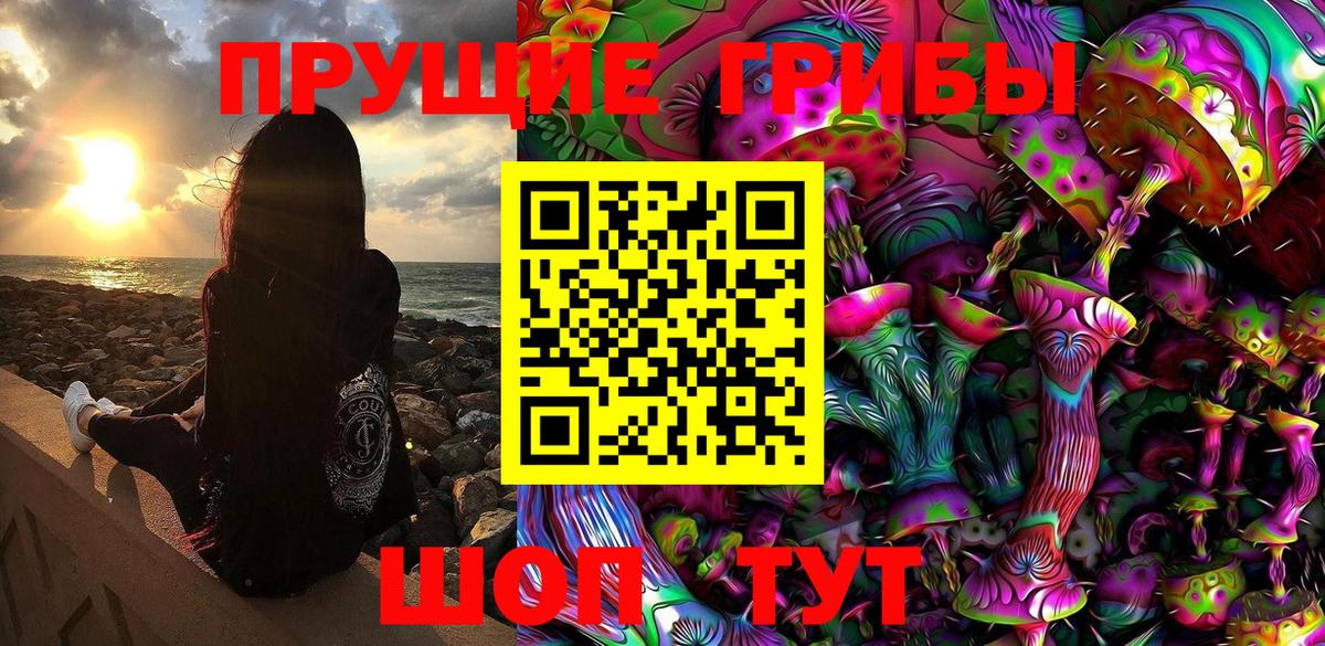 Псилоцибиновые грибы мицелий Кызыл